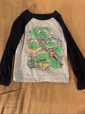 Nickelodeon Teenage Mutant Ninja Turtles Raglan Tee - Gray, Black & Green